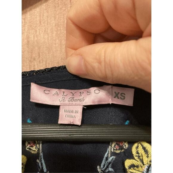 Calypso St. Barth XS Rodru floral Embroidered dress blue 100% Silk maxi - Picture 6 of 15